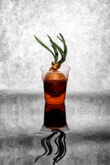 Still life with a growing onion in a cup on a gray background