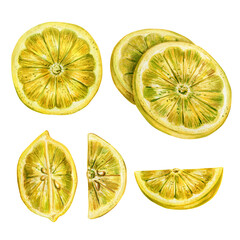 Watercolor illustration of yellow green lemons. Hand drawn drawing of fresh slices and halves of citrus fruits isolated on white background. Tasty food for design, decoration and printing