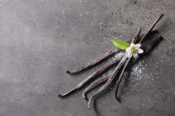 Vanilla pods, flower, leaf and sugar on grey textured table, top view. Space for text