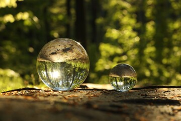 Obraz premium Beautiful forest with green trees, overturned reflection. Crystal balls on ground outdoors