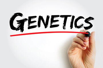 Genetics is a branch of biology concerned with the study of genes, genetic variation, and heredity...