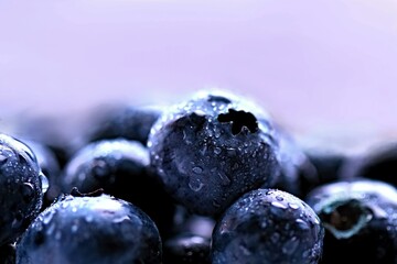 fresh and tasty blueberry canadian fruit in close-up