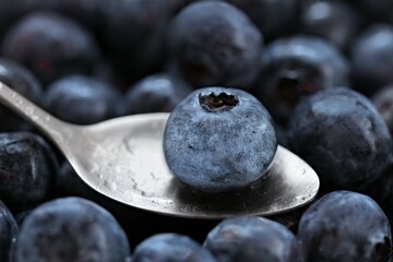 fresh and tasty blueberry canadian fruit in close-up