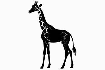 black giraffe  silhouette vector illustration on white background