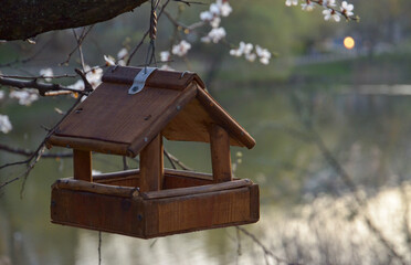 A wooden bird feeder hanging on a blooming tree on a the background of a picturesque body of water (river, lake)