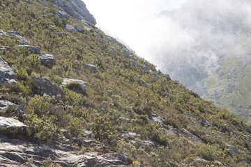 Mist descending on the Swartberg Pass, South Africa, showing fynbos veld.