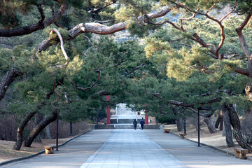 View of the paved footpath in the temple