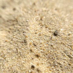 yellow sand texture with focus in the middle of the frame