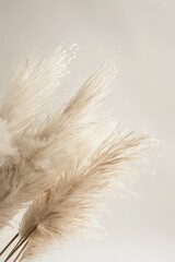 Macro photography of white feathers on a white surface