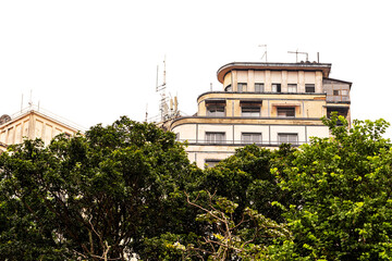 Prédio, árvores e céu branco na cidade de São Paulo.