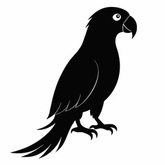 Parrot vector art illustration on white background, bird on a branch
