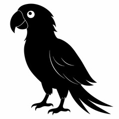 Parrot vector art illustration on white background, bird on a branch