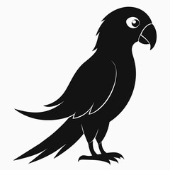 Parrot vector art illustration on white background, bird on a branch