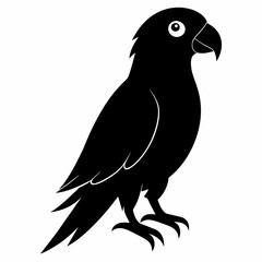 Parrot vector art illustration on white background, bird on a branch