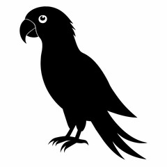 Parrot vector art illustration on white background, bird on a branch