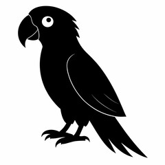 Parrot vector art illustration on white background, bird on a branch