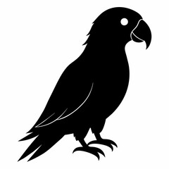 Parrot vector art illustration on white background, bird on a branch