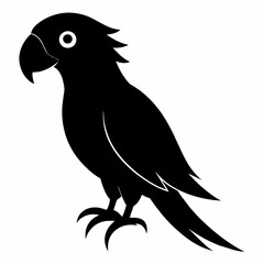 Parrot vector art illustration on white background, bird on a branch