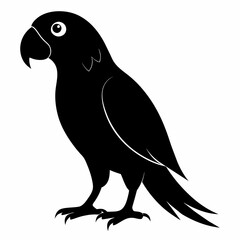 Parrot vector art illustration on white background, bird on a branch