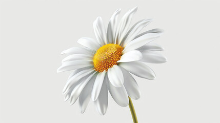 3D illustration of a chamomile flower isolated on a white background. The flower has white petals and a yellow center. - Powered by Adobe