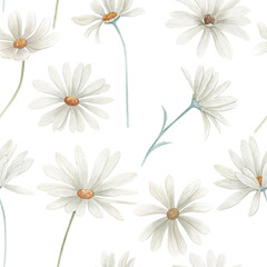 Watercolor seamless pattern with daisy. Hand drawn floral  illustration on white background