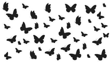 Butterfly Silhouette Image. Butterfly silhouettes flying . black and white Butterfly silhouettes flying. vector butterfly