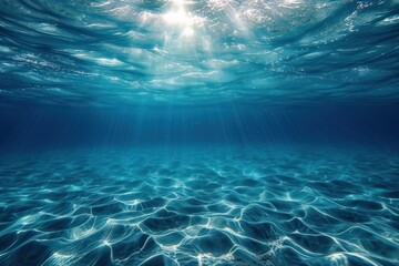 Fototapeta na wymiar Underwater Sea underwater outdoors nature.