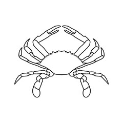 crab outline vector illustration. Seafood shop logo branding template for craft food packaging or restaurant design.