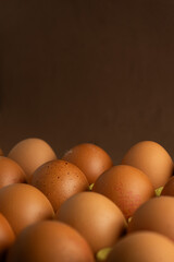 A neatly arranged row of brown chicken eggs in a cardboard carton. The eggs are evenly spaced, highlighting their uniformity. The soft light casts gentle shadows, creating a warm, inviting atmosphere.