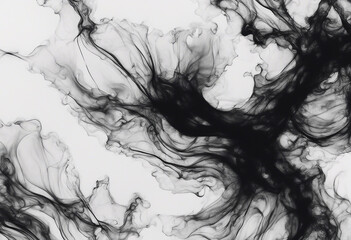 Fototapeta premium Abstract black ink texture Japan style on a white background Abstract art