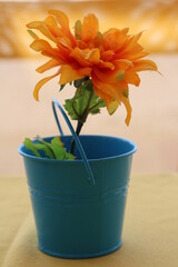 Orange Blume im blauen Eimerchen auf einem Tisch,