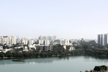 Naklejka premium Flowers and Leaves are blooming in lakeside and water