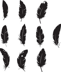 Set of silhouettes feather icons on white background 