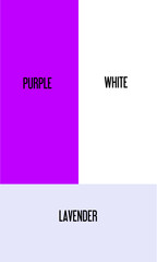 vector illustration of a mixture of 2 colors, a mixture of purple and white results in lavender