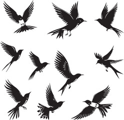 Set of Beautiful Birds black Silhouette on white background