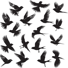 Set of Beautiful Birds black Silhouette on white background