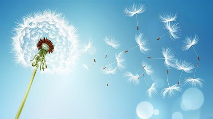   A dandelion drifts in the wind against a backdrop of blue sky In the foreground, a red and white flower blooms