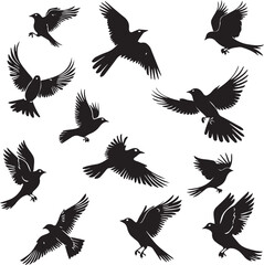 Set of Beautiful Birds black Silhouette