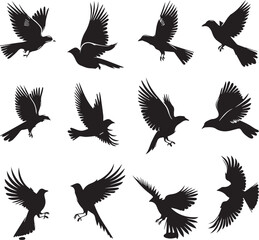 Set of Beautiful Birds black Silhouette
