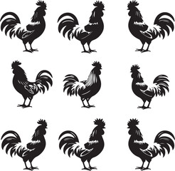 Set of Rooster silhouettes on white background	