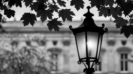   A monochrome image of a streetlight before a building and tree in the foreground - obrazy, fototapety, plakaty
