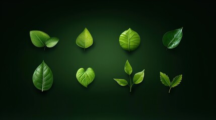 Green leaf icons set