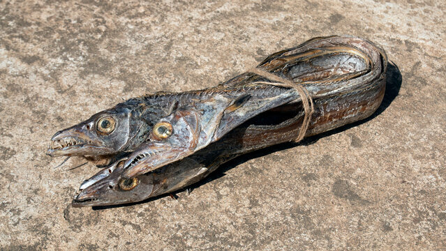 asian ribbon fish or hairtail on rugh background. Dried sea fish from bay of bangle. also called Churi Shutki. popular in chattogram, Bangladesh. looks like knife and it has shiny silver color.