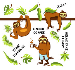 Set of Cute cartoon sloth vector graphic design. Adorable hand drawn baby sloth characters hanging on the tree. © Evgenia