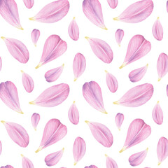 Watercolor petals of pink tulips Seamless Pattern. Isolated Flowers on White Background. For Cards, Textile, International Women's Day, 8th March, Mother's Day, Spring and Summer Theme.
