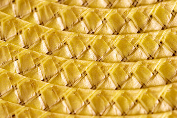 yellow background with a pattern