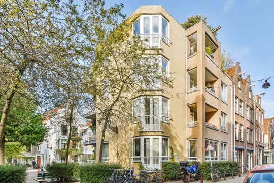 Sunny day in a tranquil residential street