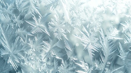 Background texture of ice crystals on a frozen window.