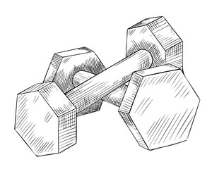 Dumbbells for Fitness. Vector Barbell illustration on isolated background. Linear drawing of Sports equipment for weightlifting in gym painted by black inks. Training weights sketch for icon or logo.