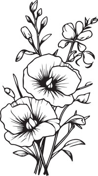 recommend clip art: Sweet pea drawing, Sweet pea  drawings, Hand drawn botanical summer elements bouquet of Sweet pea line art coloring page, easy flower drawing. Sweet pea  flower art, outline sweetpea flower drawing